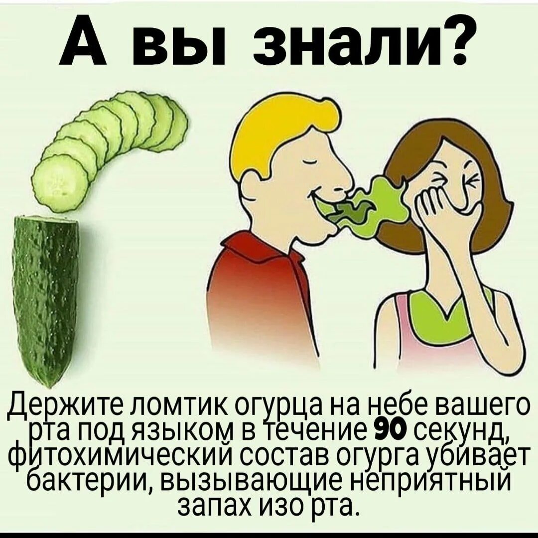Не до завтрака, когда даже огурец хочется сосать, а не есть
