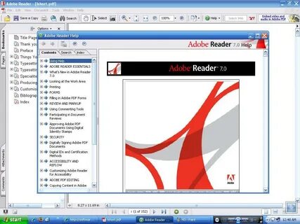 Pdf reader window