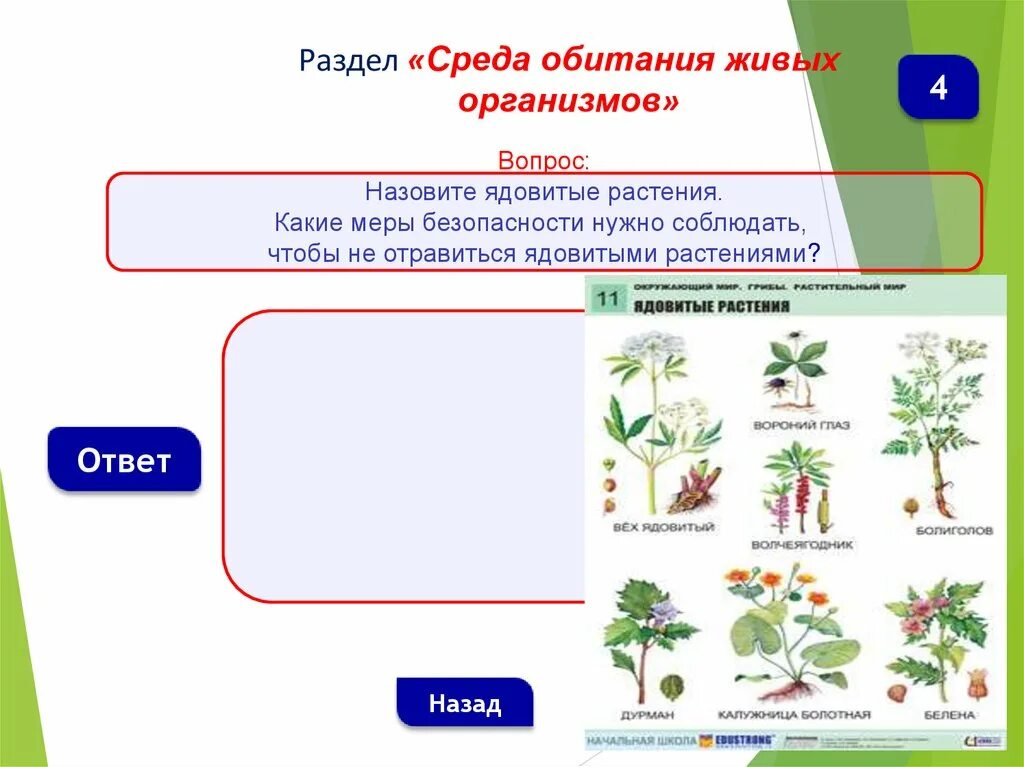 Тест среды обитания живых организмов 5 класс. Среда обитания растений. Растения обитающие в живых организмах. Среды обитания проверочная работа. Растения по среде обитания.