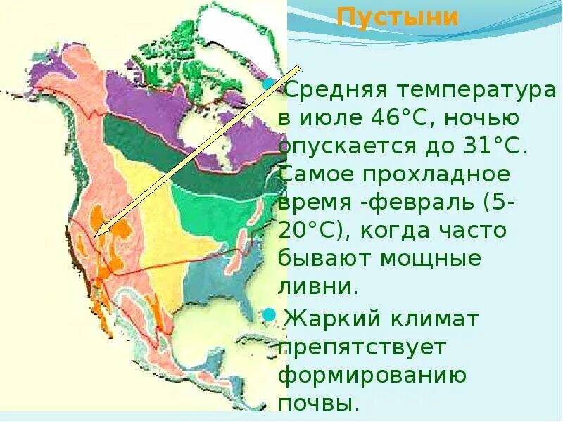 Характеристика природных зон северной америки и евразии. География Северная Америка природные зоны. Карта природных зон Северной Америки. Природные зоны Северной ам. Природный соны Северной Америки.