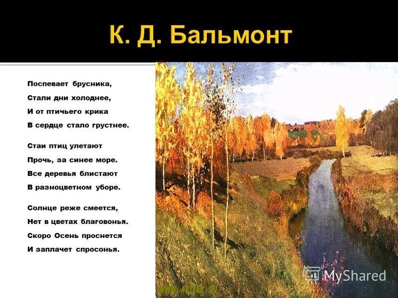 стаи птиц улетают прочь за синее. стаи птиц улетают прочь, за синее море. журавли прилетели. птицы над морем. стаи птиц улетают прочь.