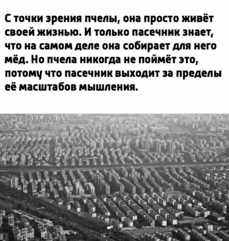 Украина точки зрения. С точки зрения пчелы она просто живет своей жизнью. С точки зрения пчелы. Пчела живет своей жизнью и только. Пчела думает что живет своей жизнью.