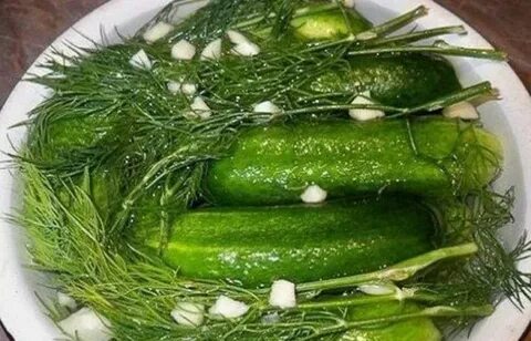 Суточные огурцы
