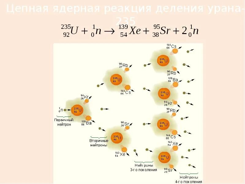 Деление ядер урана было открыто. Цепная реакция деления урана 235. Цепная ядерная реакция урана 235. Схема цепной ядерной реакции. Цепная реакция деления урана 235 92.