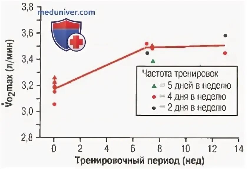 Температура сердца. Температура сердца