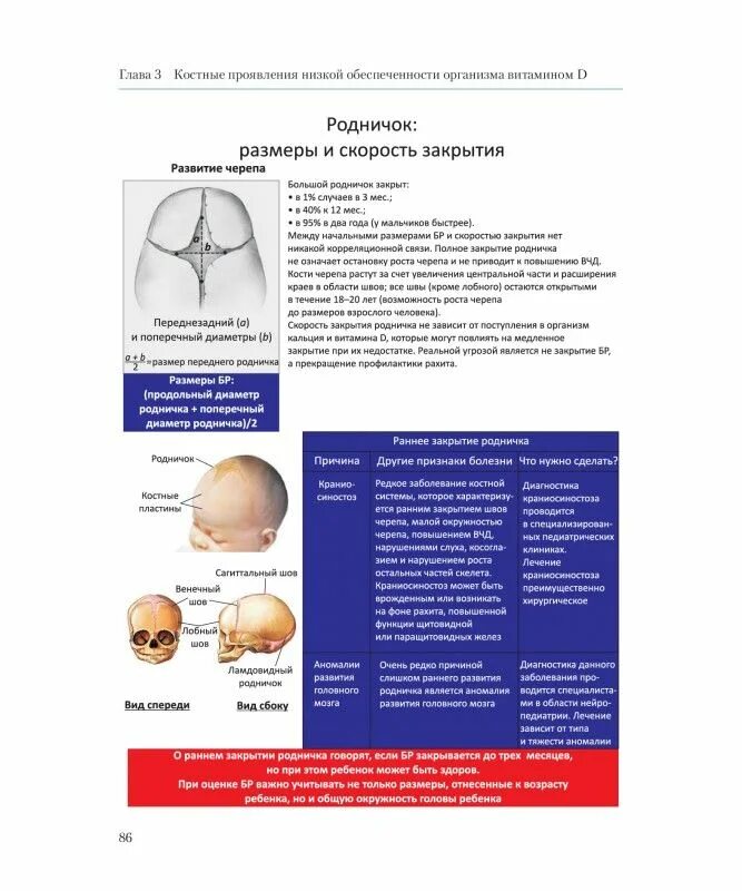 Во сколько зарастает родничок. Родничок у ребенка в 3 месяца размер. Родничок у 6 месячного ребенка размер норма. Раннее закрытие большого родничка. Закрытие большого родничка в норме.