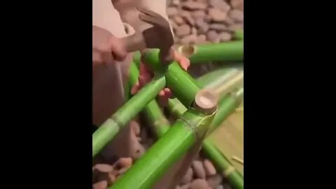 Бамбуковый мастер