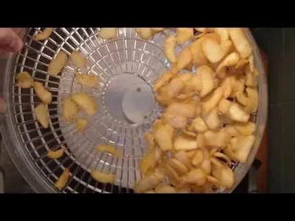 Кальмар в сушилке для овощей рецепт