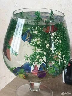 Аквариум стаканы
