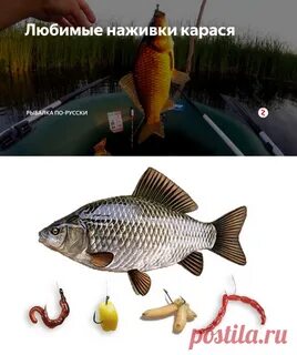 Ловить карася приманка