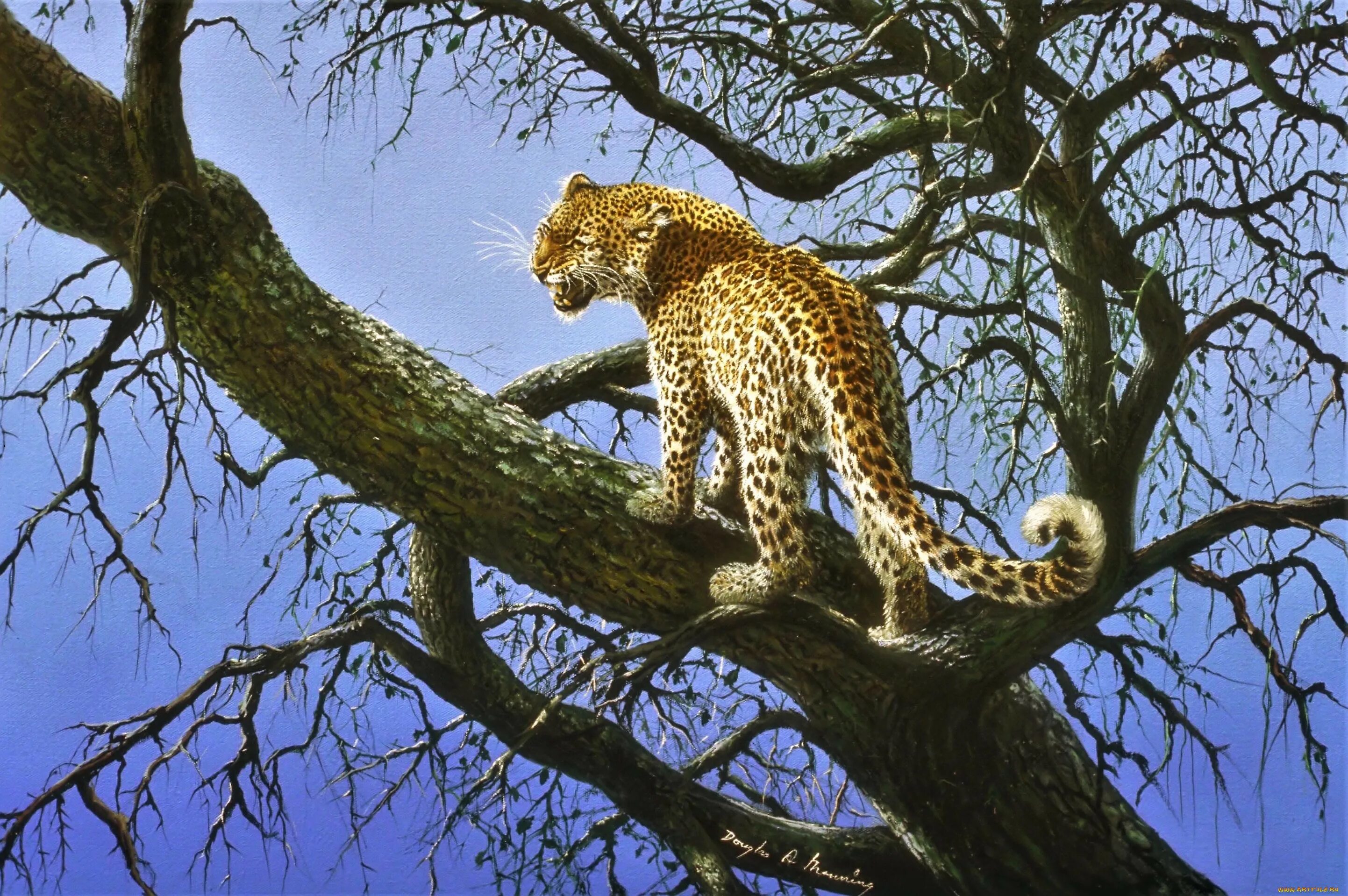 Девять животных. Леопард на дереве. Леопард на ветке. Леопард на дереве рисунок. Нарисовать леопарда.