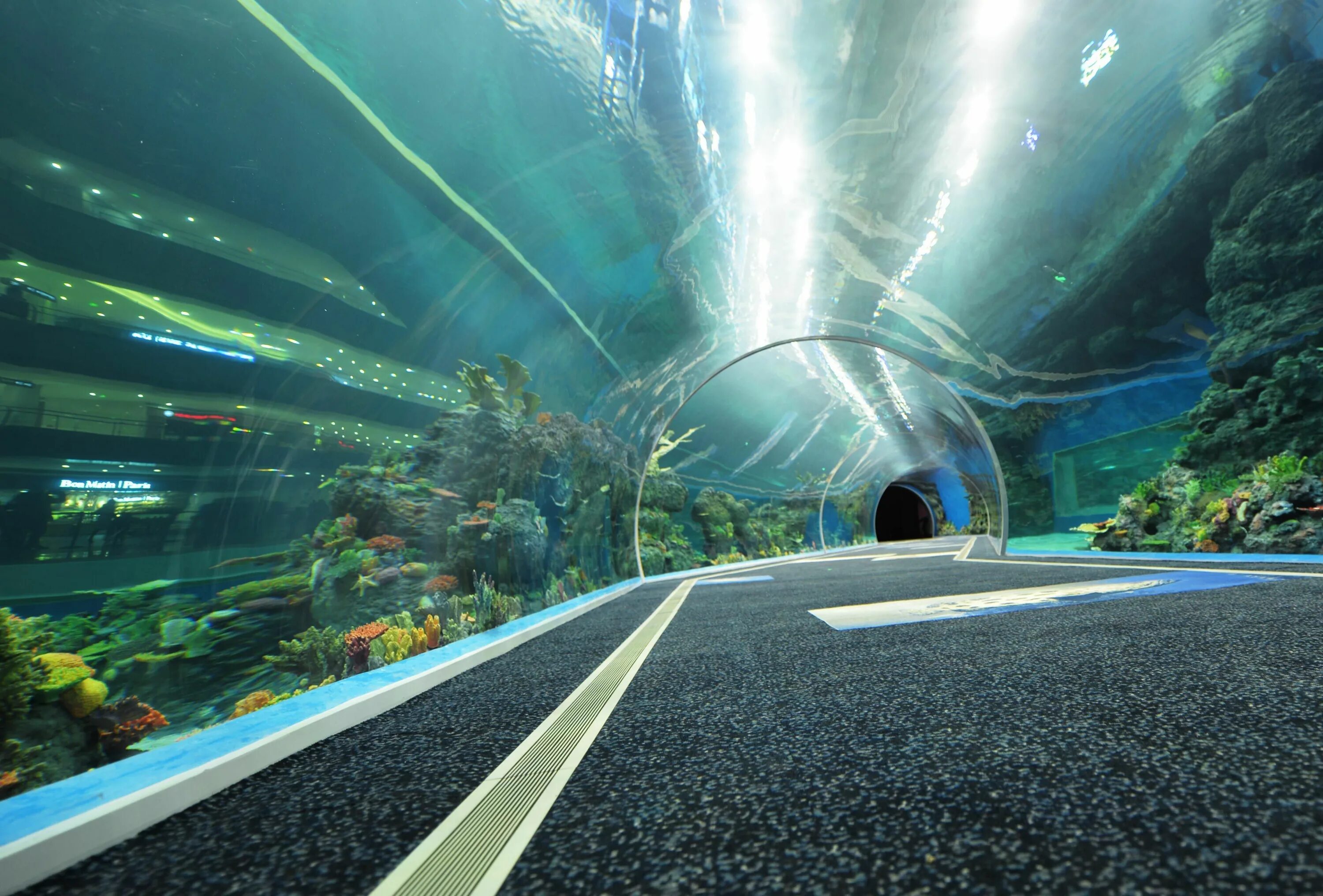 Океанариум киров. Fish tank construction in public aquarium. Океанариум киров. Океанариум уфа. Океанариум в маниле.