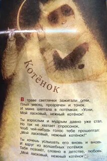 Спи котенок колыбельная