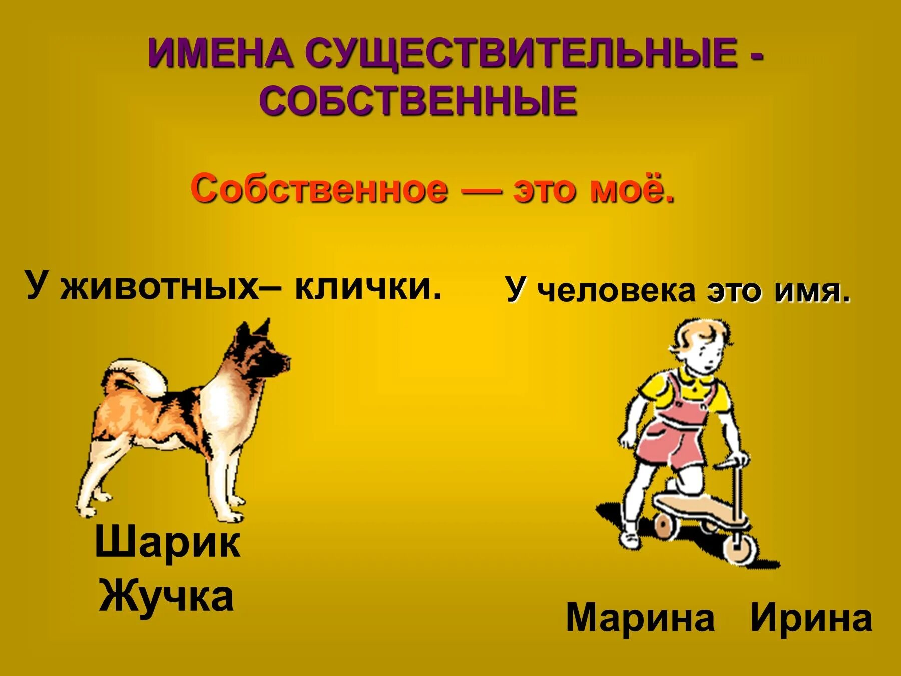 Неодушевленное собственное существительное примеры