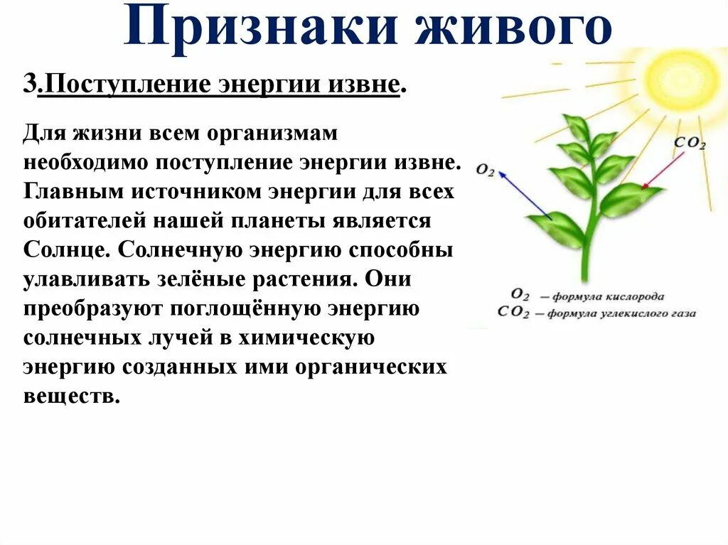 Основной всего живого является. Всем организмам для жизни необходимо поступление энергии извне. Главные источники энергии для организма — это. Признаки живого. Являются главными источниками энергии.