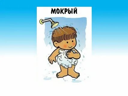 Сухие и мокрые