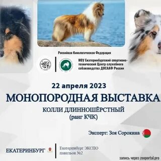 Зоопортал липецк