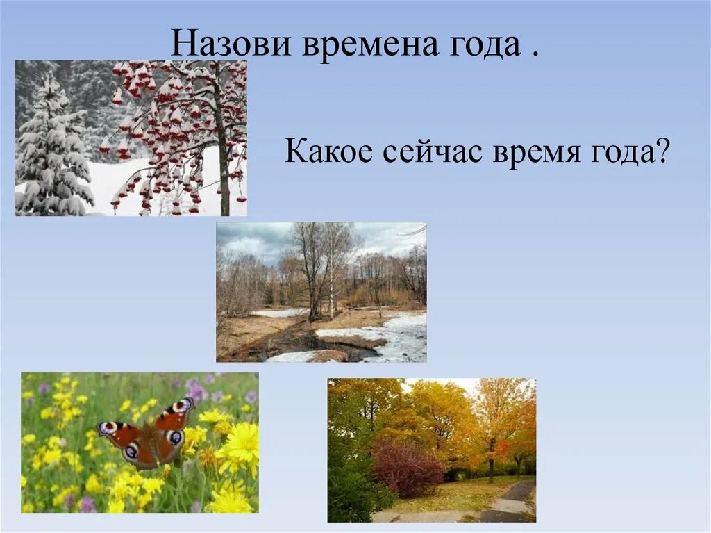 Времена года детские картинки. Назови времена года. Изображения времен года для детей. Диагностика времена года. Признаки времен года для дошкольников в картинках.