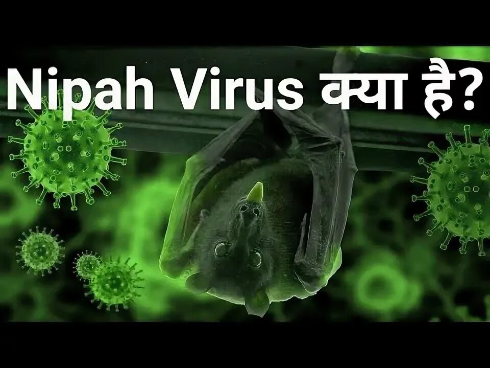 What is the virus. What is the virus