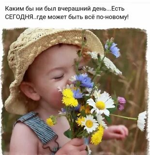 Радоваться утру