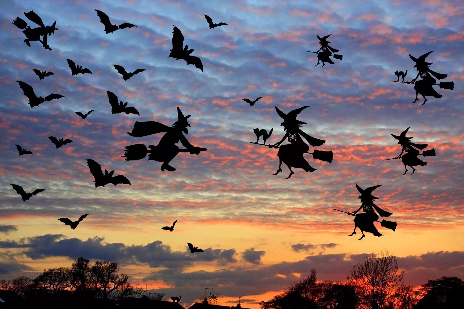 Миграция птиц. Миграция животных. Обои на телефон миграция птиц. Миграции птиц бабочек картинки.