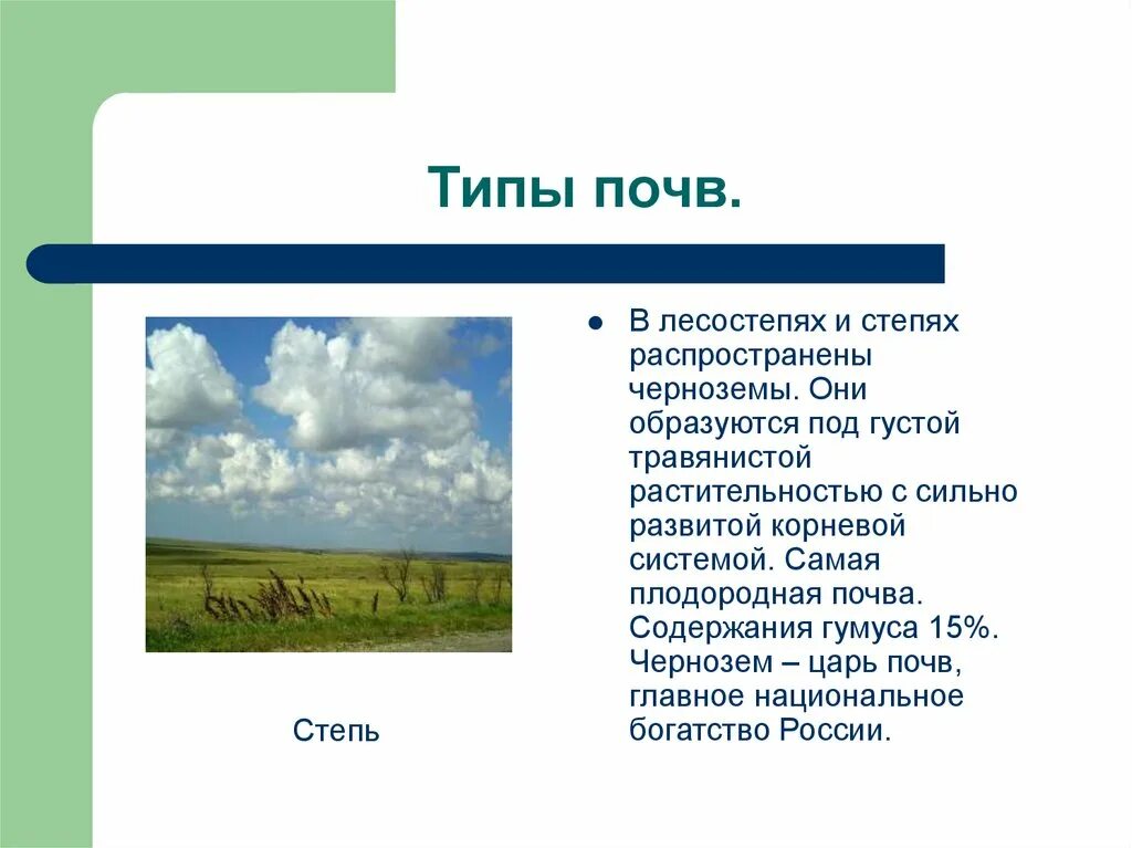 Типы почв тайга и степь. Климат и почва в степи в России. Почвы степи. Тип почвы в степи. Почвы степи в России.