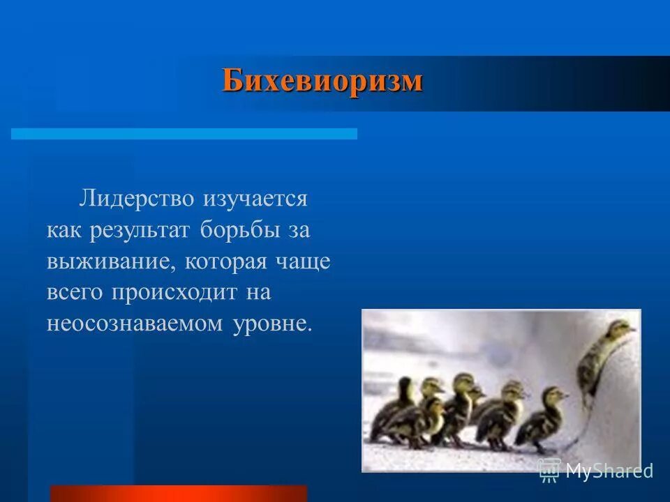 лидерские качества и навыки. основные компетенции в реализации лидерской позиции. теория определяющей роли последователей. тренировка лидерских качеств. тренинг на выявление лидерских качеств.
