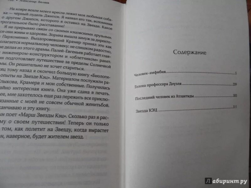 Амфибия книга читать. Амфибия книга читать