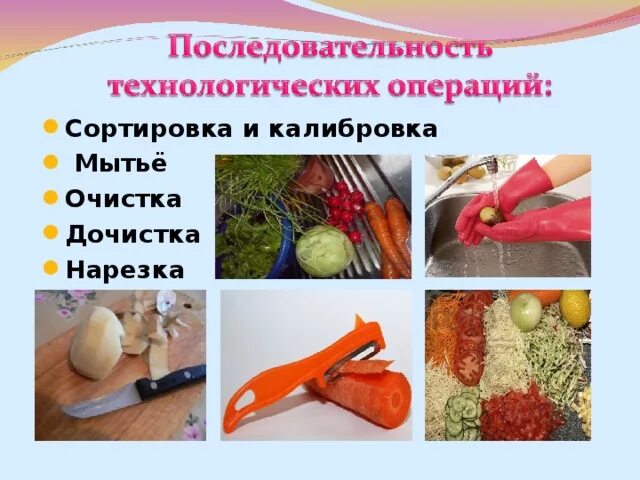 Холодная обработка овощей. Первичная обработка овощей. Кулинарная обработка. Механическая кулинарная обработка и нарезка плодовых овощей. Последовательность обработки овощей.