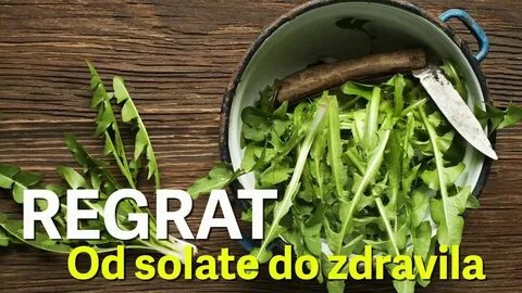 Можно ли хомякам листья одуванчика