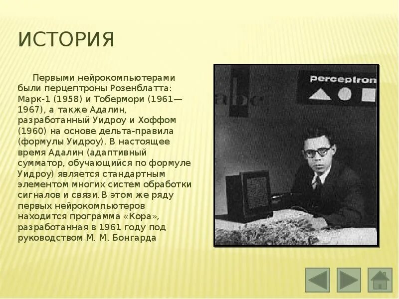 Фрэнком розенблаттом. 1957 Фрэнк Розенблатт. Тобермори нейрокомпьютер.