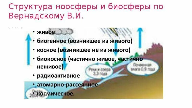 Структура ноосферы и биосферы по Вернадскому в.и.. Структура ноосферы. Структура ноосферы по Вернадскому. Структура ноосферы Вернадского. Какие утверждения о взаимодействии биосферы