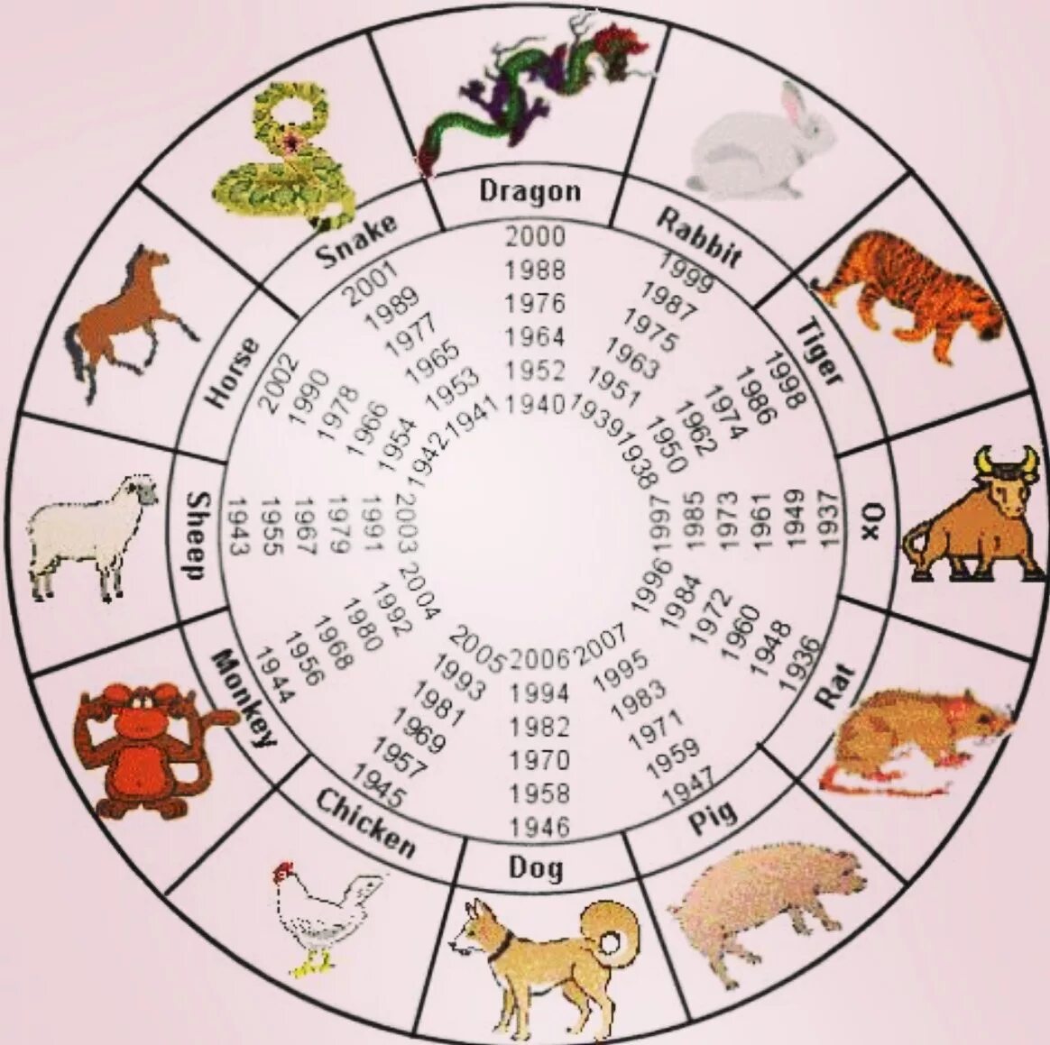 Какой год после года собаки. Восточный календарь. Календарь годов по животным. Животные китайского календаря. Годы по восточному календарю животные.