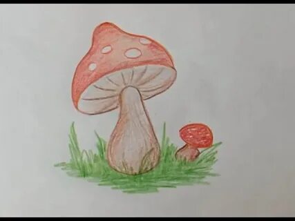 Рисуем грибы 2 класс