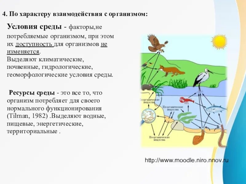 Ресурсы среды обитания 5. Экологические факторы и условия среды. Экологические факторы и ресурсы. Экологические факторы ресурсы и условия. Условия и ресурсы среды.