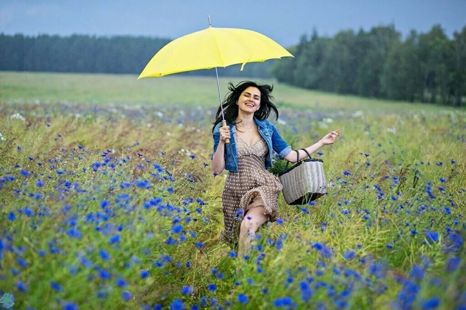 Скачай песни не ходи девки гулять. Фотосессия в Васильковом поле. Девушка в Васильковом поле. Фотосессия в лугах. Поле васильки девушка.