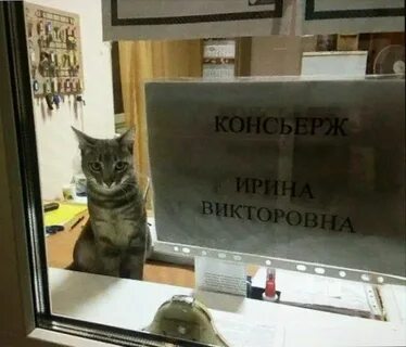 Убери высокий