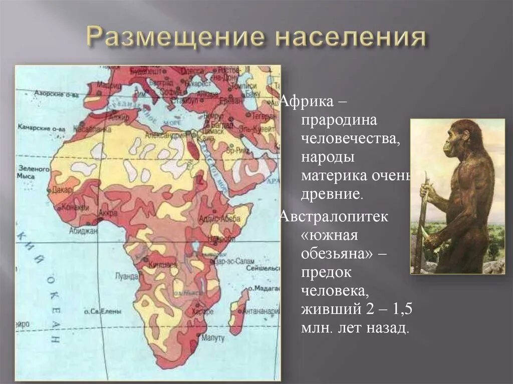 Численность восточной африки. Африка прародина человечества. Африка - прародина челове. Размещение населения Африки. Карта размещения населения Африки.