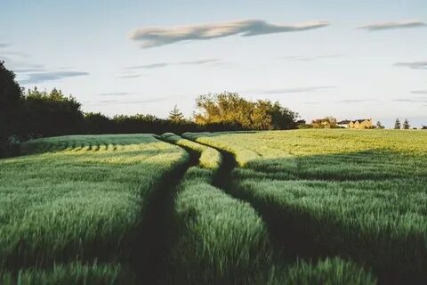 Golden farming