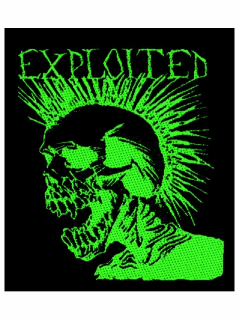 Видео exploited. Exploited череп. the exploited логотип. the exploited skull.