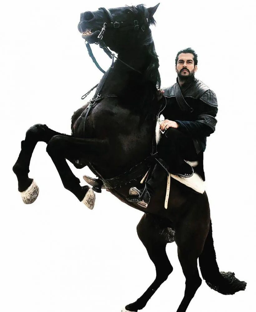 возрождение осман 150. основание осман. основание осман 80. возрождение эртугрул осман. курулуш осман турецкий.