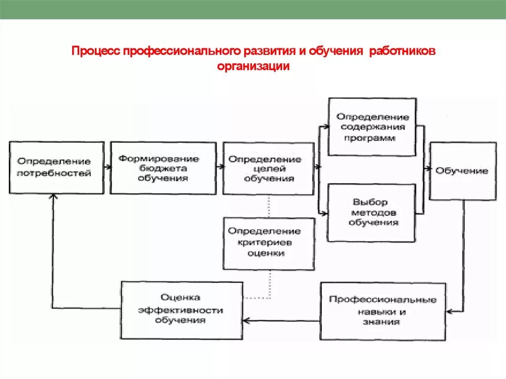 Управление организацией профессионального образования