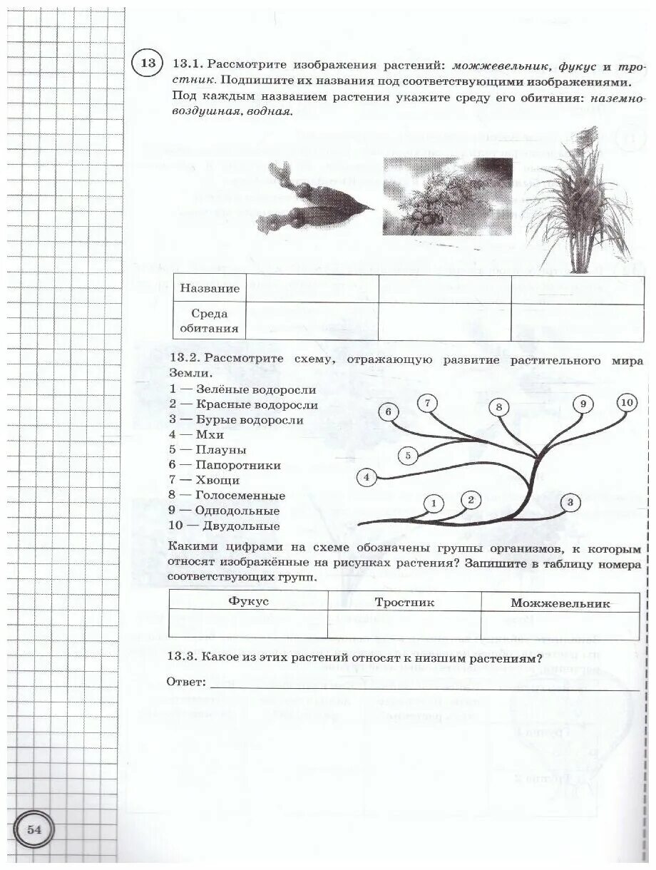 Впр по биологии 5 класс среды обитания. Впр по биологии 7. впр биология 7 класс. впр пт биологии 7 класс. впр по биологии 7 класс растения.