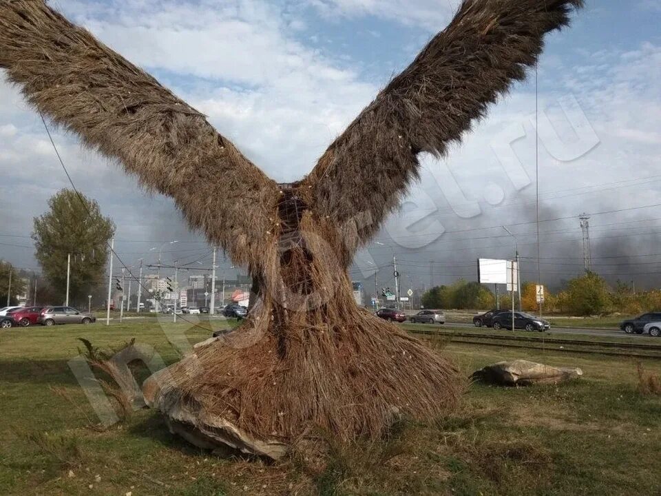 Соломенный Орел в Орле. Орел из веток в Орле Гринн. Скульптура орла в городе Орел. Топиарная фигура Орел.