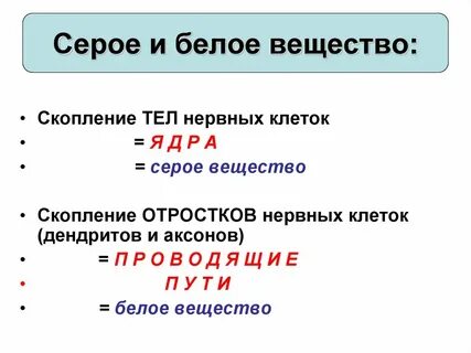 Серое вещество количество