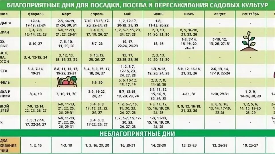 #Полезная информация #Сад огород Когда сажать помидоры на рассаду в 2023 году. 2