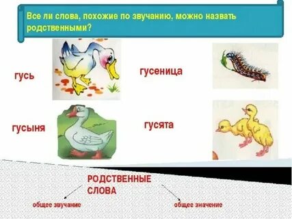 Гусь и гусеница однокоренные слова или нет