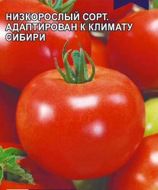 Описание сорта томатов метелица. Томат метелица семена алтая. томат метелица сибирский сад. низкорослые сорта томатов семена алтая.