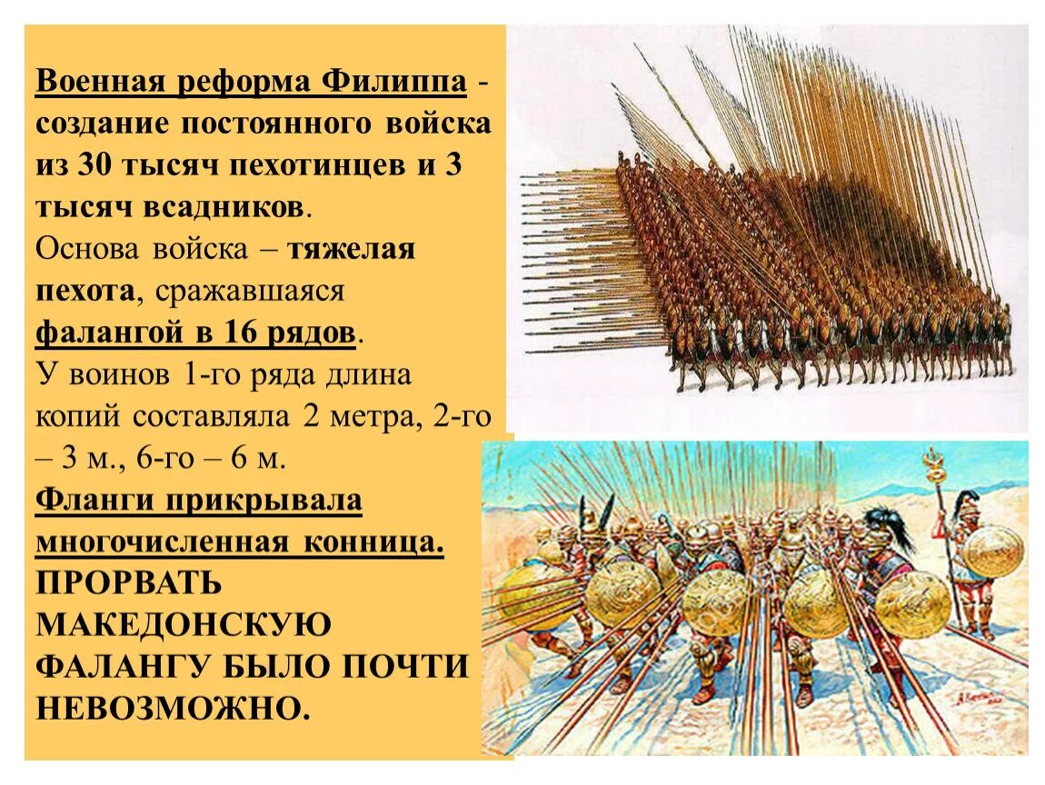 Пехота армия Филиппа Македонского. Армия Филиппа Македонского 5 класс. Реформы царя Филиппа Македонского. Какие утверждения характеризуют военную реформу филиппа