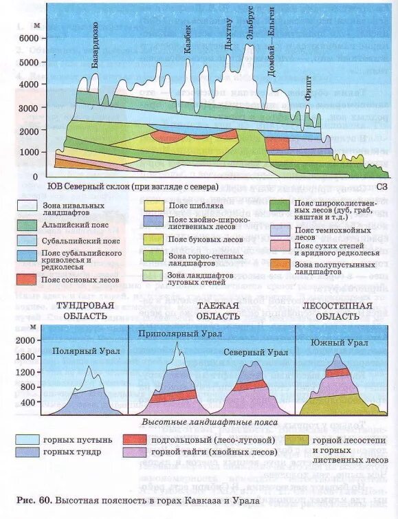 Горы России Высотная поясность России. Высотная поясность в горах Урала. Кавказ Высотная поясность в горах Кавказа. Уральские горы Высотная поясность.